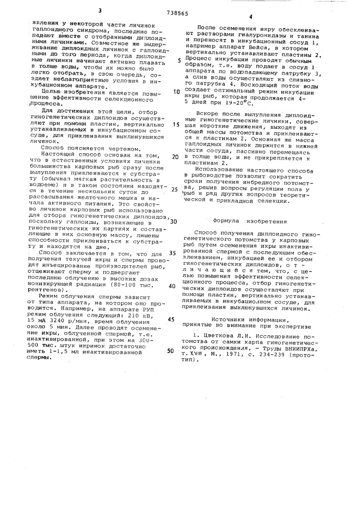 Способ получения диплоидного гиногенетического потомства у карповых рыб (патент 738565)
