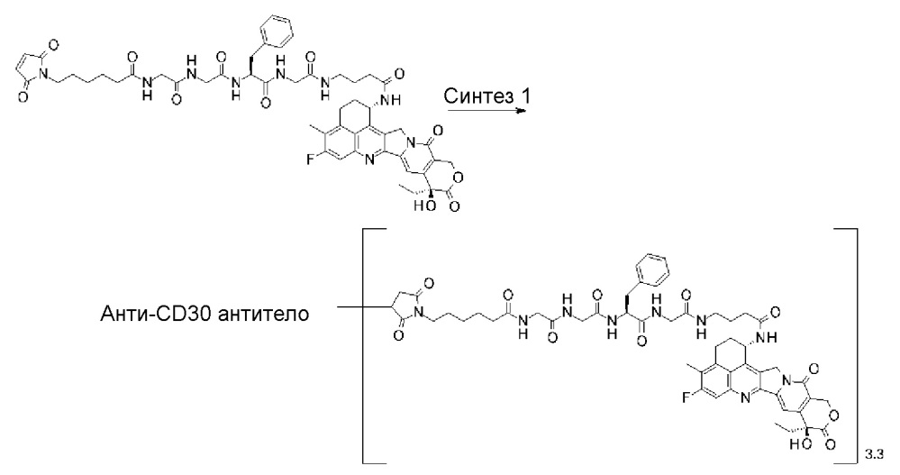 Конъюгат антитело-лекарственное средство (патент 2664465)
