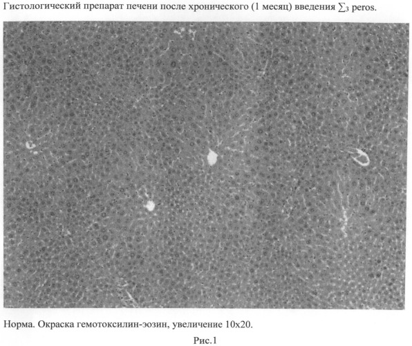 Композиции протекторов острых и хронических печеночных энцелопатий и способ лечения острых и хронических печеночных энцелопатий (патент 2491062)