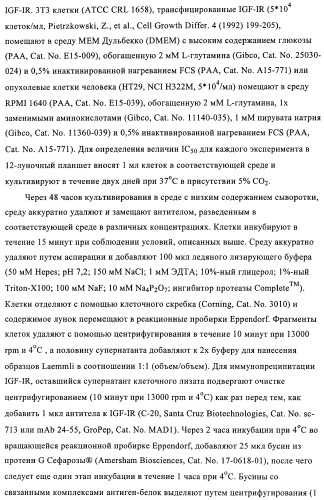 Антитела к рецептору инсулиноподобного фактора роста i и их применение (патент 2363706)