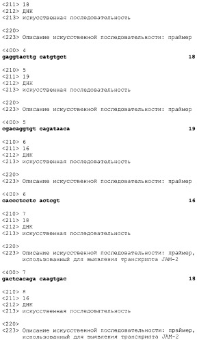 Адгезивные молекулы сосудов и модуляция их функций (патент 2244748)