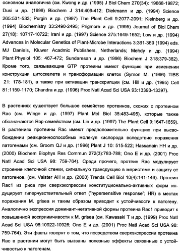 Новые последовательности нуклеиновых кислот и их применение в способах достижения устойчивости к патогенам в растениях (патент 2346985)