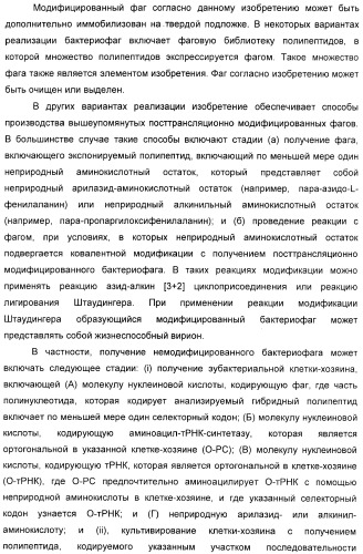 Селективная посттрансляционная модификация экспонируемых фагами полипептидов (патент 2459866)