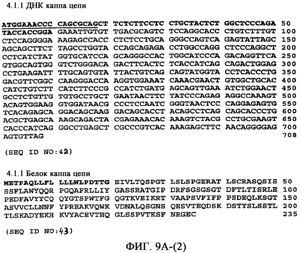 Применение антител к ctla-4 (патент 2346702)
