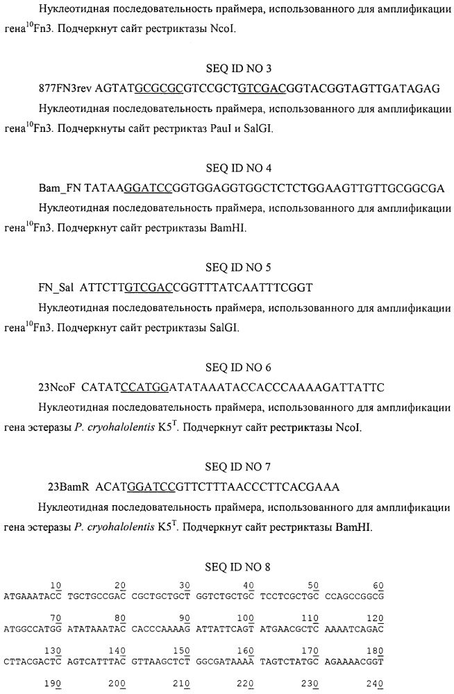 Рекомбинантная плазмидная днк pefn877, детерминирующая экспрессию гибридного полипептида со свойствами 10-го домена фибронектина на поверхности клеток escherichia coli, и штамм бактерий escherichia coli bl21(de3)plyss/pefn877 - продуцент гибридного полипептида со свойствами 10-го домена фибронектина на поверхности клеток (патент 2606014)