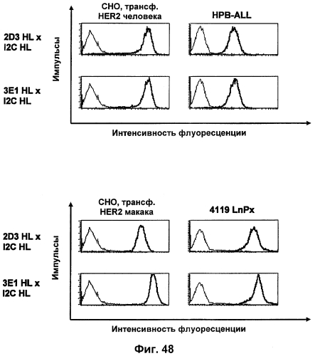 Cd3-эпсилон-связывающий домен с межвидовой специфичностью (патент 2561457)