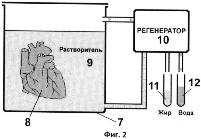 Способ пластинации анатомических препаратов с применением силиконового каучука технического назначения (патент 2454073)