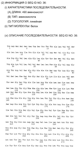 Очищенные белки оболочки вируса гепатита с для диагностического и терапевтического применения (патент 2313363)