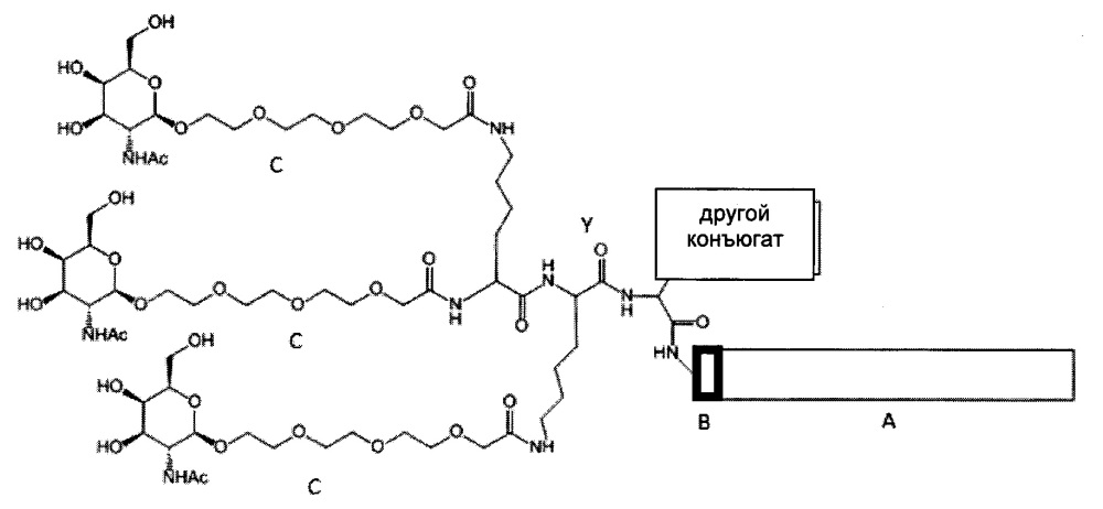 Конъюгаты олигонуклеотидов (патент 2653438)