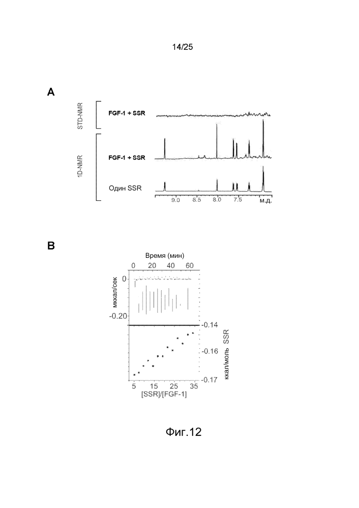 Внеклеточный домен тирозинкиназного рецептора, связывающий аллостерический ингибитор (патент 2604805)