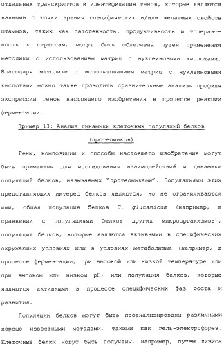 Гены corynebacterium glutamicum, кодирующие белки метаболических путей (патент 2306339)