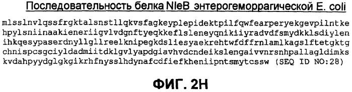 Бактериальные факторы вирулентности и варианты их применения (патент 2465331)