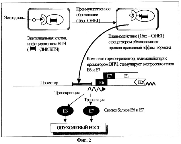 Суппозитории вагинальные на основе 3,3 -дииндолилметана (метиндола) (патент 2318510)