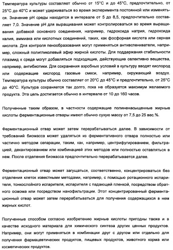 Способ получения полиненасыщенных кислот жирного ряда в трансгенных организмах (патент 2447147)