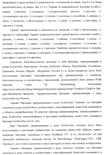 Способ получения l-треонина или l-аргинина с использованием бактерии, принадлежащей к роду escherichia, в которой инактивирован ген chac или оперон chabc (патент 2392327)