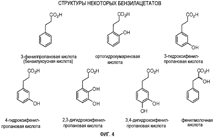 Пролекарства метилфенидата, способы их получения и применения (патент 2573835)