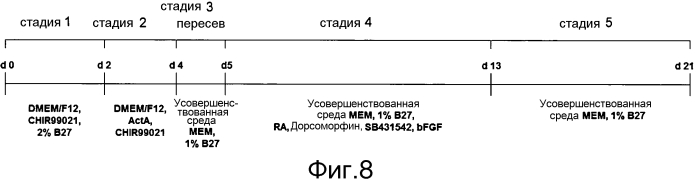 Способ получения клеток, продуцирующих панкреатические гормоны (патент 2576000)
