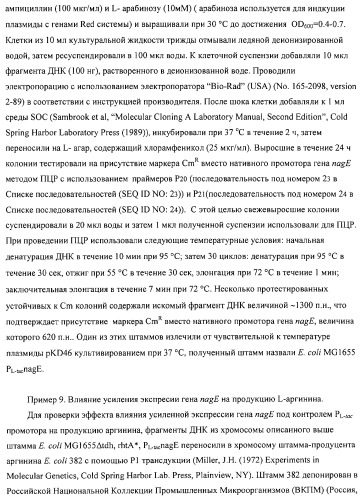 Способ получения l-аминокислот с использованием бактерии, принадлежащей к роду escherichia (патент 2312893)