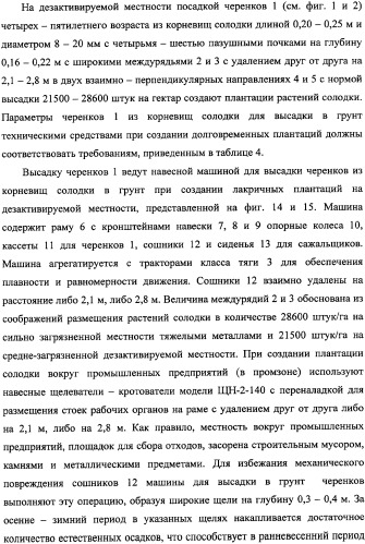 Фиторемедиационный способ очистки почв от тяжелых металлов (патент 2338353)