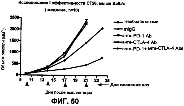 Моноклональные антитела человека к белку программируемой смерти 1 (pd-1) и способы лечения рака с использованием анти-pd-1-антител самостоятельно или в комбинации с другими иммунотерапевтическими средствами (патент 2406760)