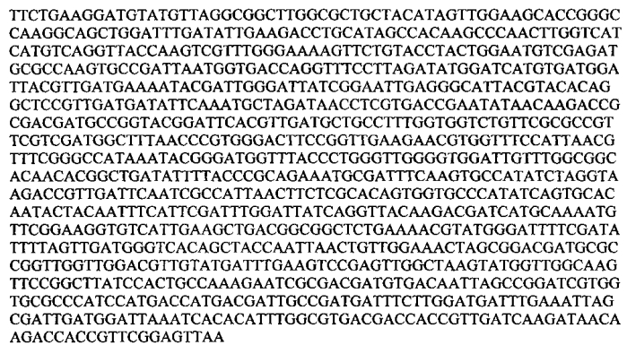Штаммы lactobacillus plantarum и lactobacillus brevis, синтезирующие гамма-аминомасляную кислоту (патент 2575625)
