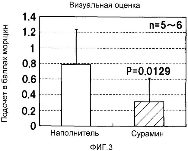Пероральный препарат, препарат для инъекции, кожный препарат для наружного применения и косметический способ предупреждения появления или разглаживания морщин (патент 2537243)