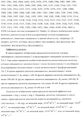 Стабилизированные антитела против ангиопоэтина-2 и их применение (патент 2509085)