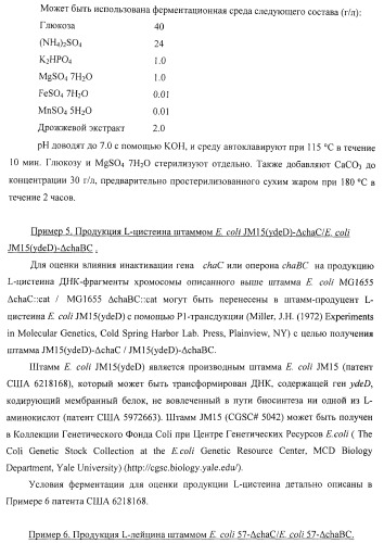 Способ получения l-треонина или l-аргинина с использованием бактерии, принадлежащей к роду escherichia, в которой инактивирован ген chac или оперон chabc (патент 2392327)