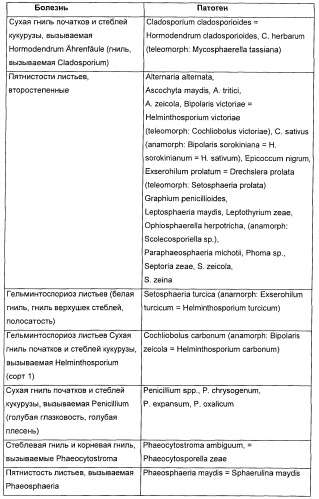 Способ повышения стойкости к стрессовым факторам в растениях (патент 2375452)