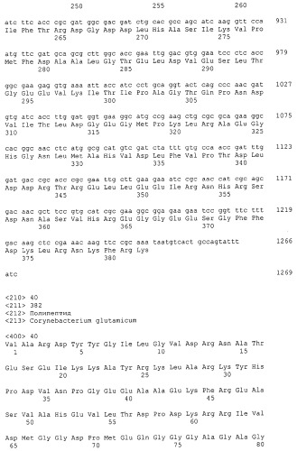 Гены corynebacterium glutamicum, кодирующие белки резистентности и толерантности к стрессам (патент 2303635)