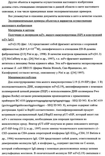 Избирательный направленный перенос в сосудистую сеть опухоли с использованием молекул антител (патент 2347787)