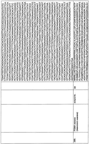 Psma×cd3 биспецифическое одноцепочечное антитело с межвидовой специфичностью (патент 2559531)