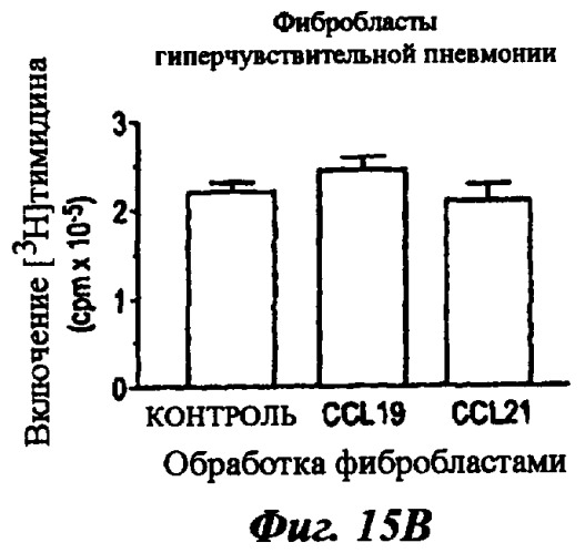 Материалы и способы лечения хронических фиброзных заболеваний (патент 2446825)