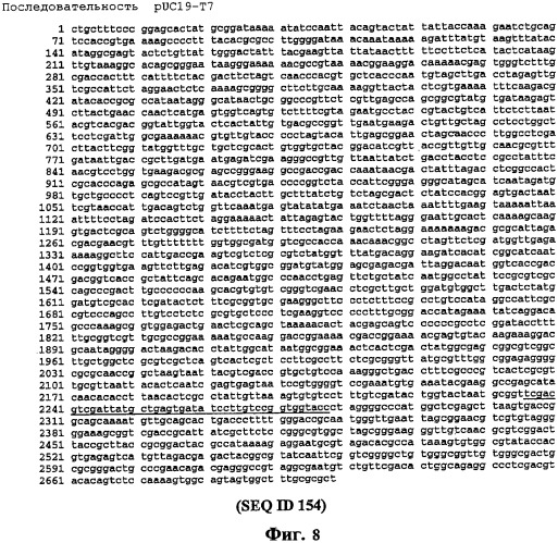 Экспонирование т-клеточных рецепторов (патент 2346004)