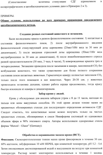 Цитобиохимический способ определения активности сукцинатдегидрогеназы, окисления эндогенной янтарной кислоты, сигнального действия микромолярных концентраций янтарной кислоты, его применение для количественной оценки уровня адренергической регуляции в организме, среда и набор для осуществления способа (патент 2364868)