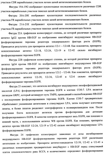 Белки, связывающие антиген фактор роста, подобный гепаринсвязывающему эпидермальному фактору роста (патент 2504551)