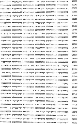Бактериофаг, обладающий активностью против pseudomonas aeruginosa, белки бактериофага и способы их применения (патент 2580248)
