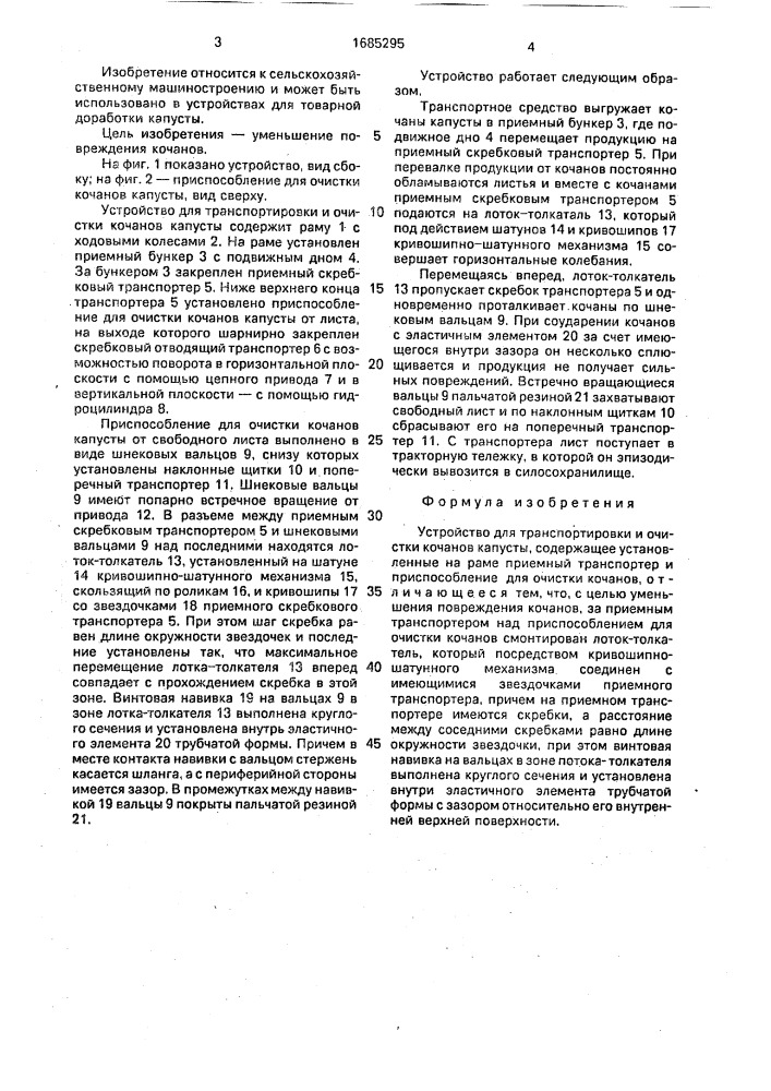 Устройство для транспортировки и очистки кочанов капусты (патент 1685295)