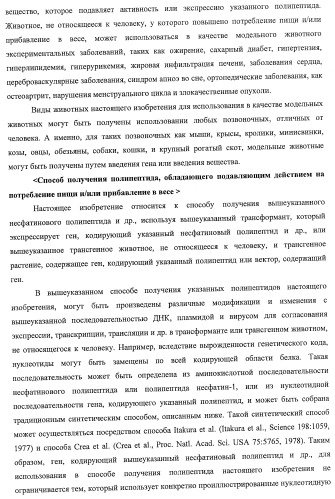 Способ получения фактора, связанного с контролем над потреблением пищи и/или массой тела, полипептид, обладающий активностью подавления потребления пищи и/или прибавления в весе, молекула нуклеиновой кислоты, кодирующая полипептид, способы и применение полипептида (патент 2418002)