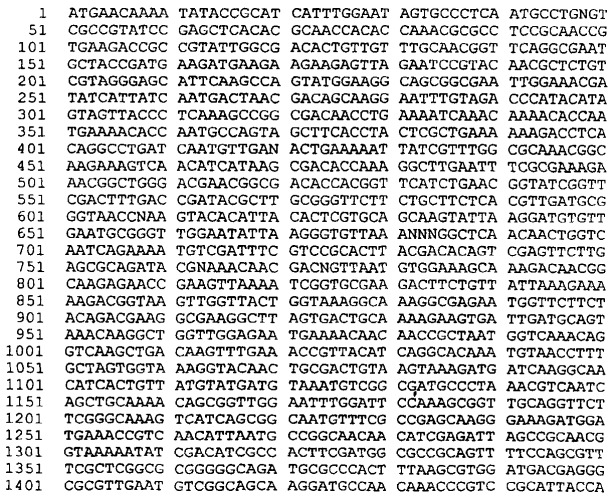 Антигены neisseria meningitidis (патент 2343159)