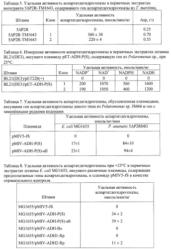 Бактерия семейства enterobacteriaceae - продуцент l-аспарагиновой кислоты или метаболитов, производных l-аспарагиновой кислоты, и способ получения l-аспарагиновой кислоты или метаблитов, производных l-аспарагиновой кислоты (патент 2472853)