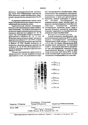 Способ выявления микобактерий (патент 2000331)