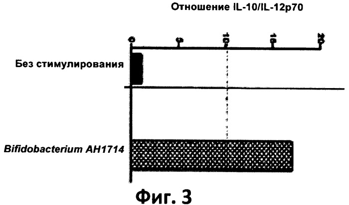 Пробиотический штамм бифидобактерий (патент 2546251)