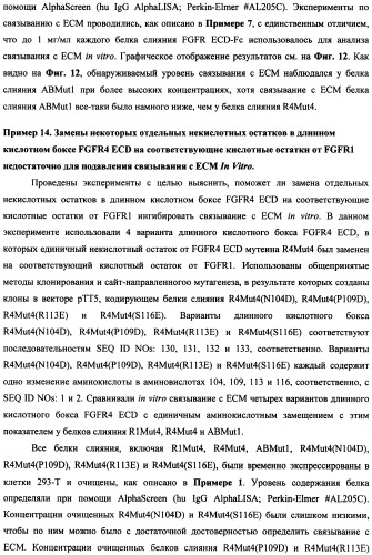 Мутеины кислотной зоны внеклеточного домена рецептора фактора роста фибробластов (патент 2509774)