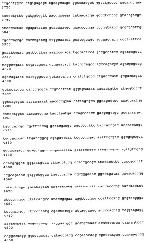 Антитела к рецептору конечных продуктов глубокого гликирования (rage) и их применения (патент 2518351)