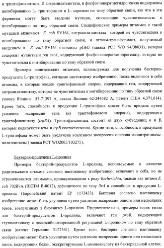 Способ получения l-треонина с использованием бактерии, принадлежащей к роду escherichia, в которой инактивирован ген msba (патент 2392313)