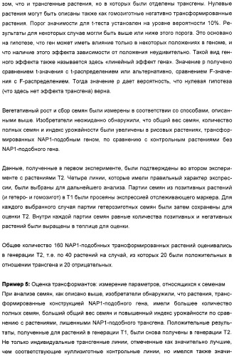 Способ повышения выхода семян растения, способ производства трансгенного растения, имеющего повышенную урожайность семян, генная конструкция для экспрессии в растении и трансгенное растение (патент 2409938)