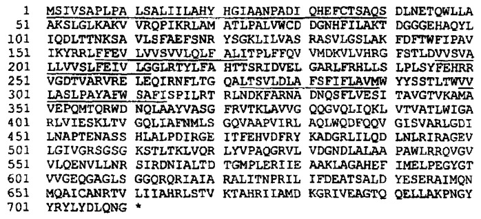 Антигены neisseria meningitidis (патент 2343159)