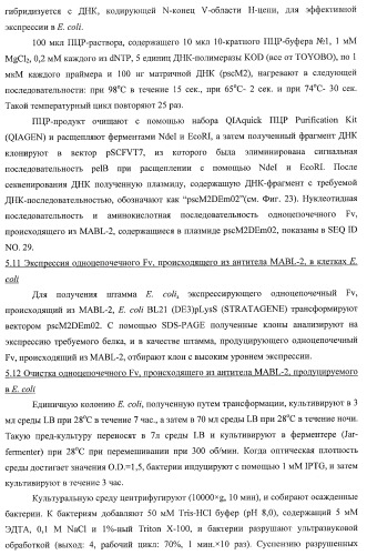 Днк, кодирующая модифицированное антитело или соединение с активностью агониста тро, способ их получения и животная клетка или микроорганизм, их продуцирующие (патент 2422528)