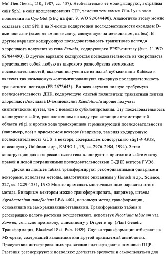Способ избирательного получения растений с мужской или женской стерильностью (патент 2320722)